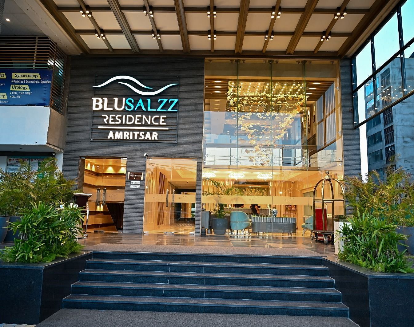 Hotel entrance with neatly arranged plants on both sides at BluSalzz Residence, Amritsar.